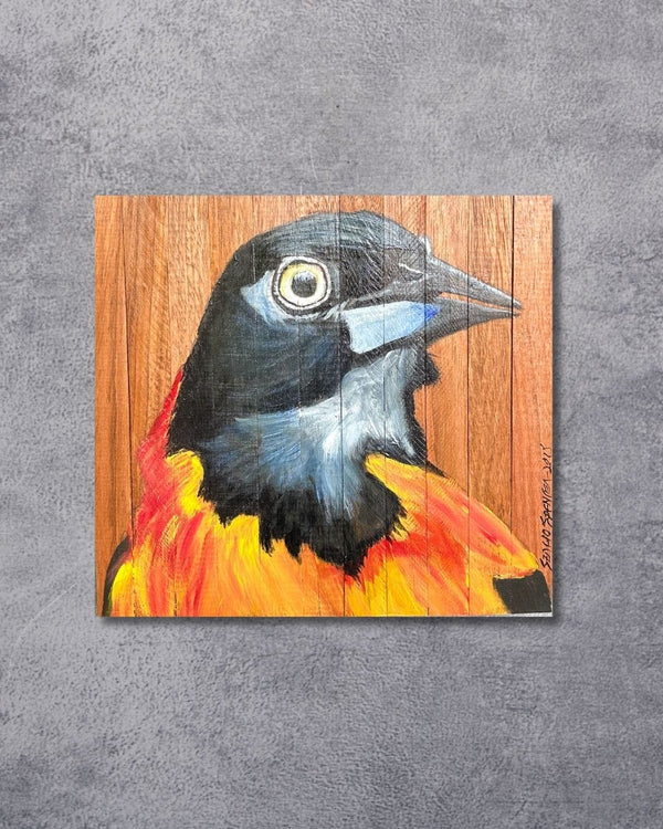 Quadro Decorativo Pássaro Concriz 30 X 30 cm