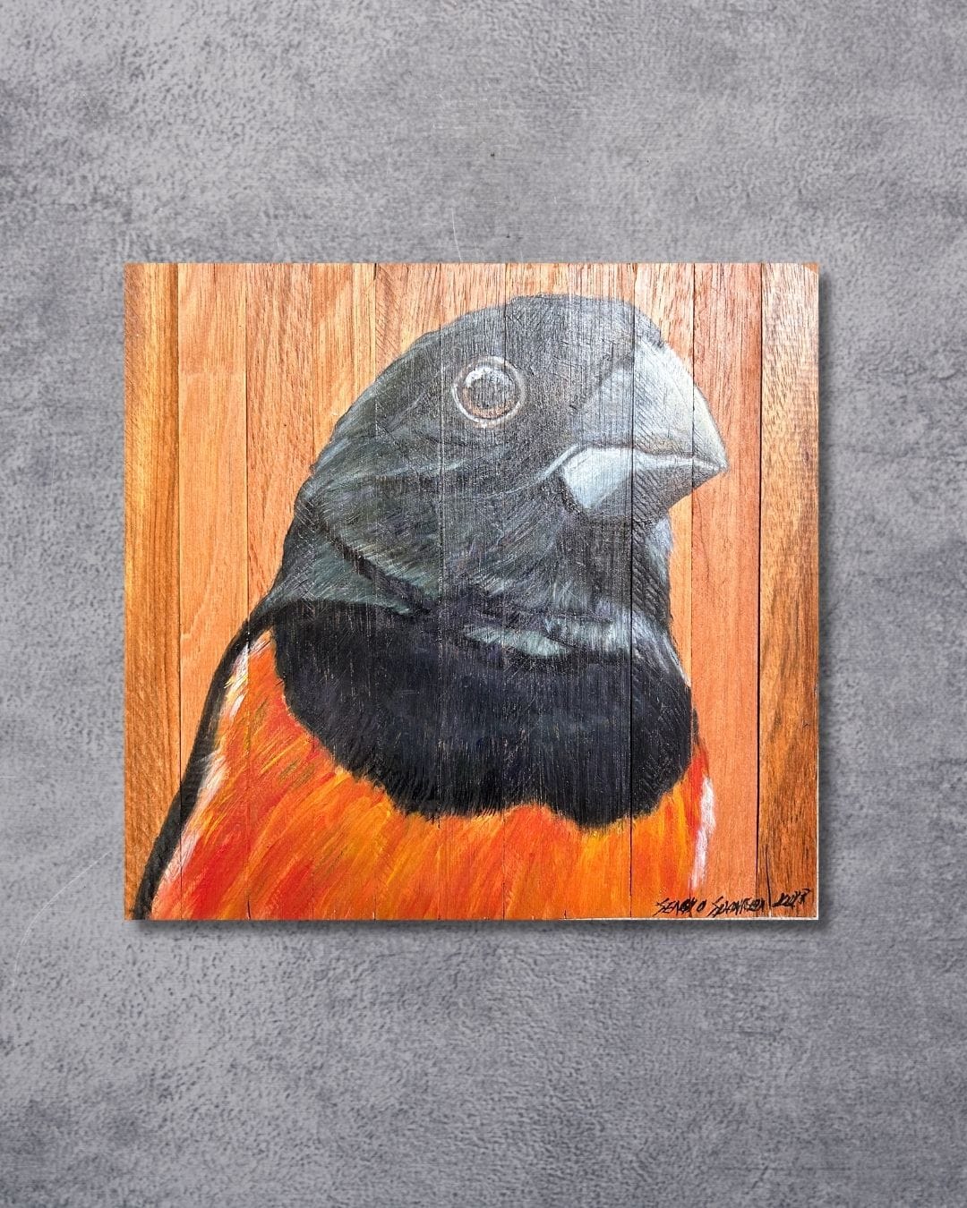 Quadro Decorativo Pássaro Curió 30 X 30 cm