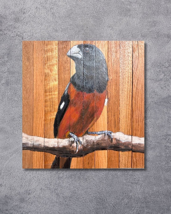 Quadro Decorativo Pássaro Curió 30 X 30 cm