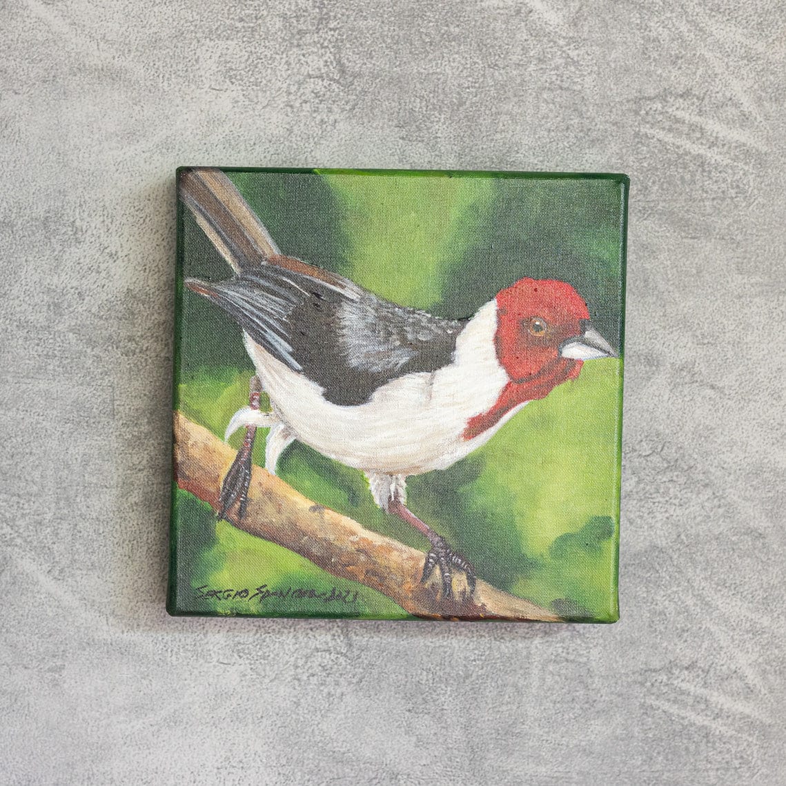 Quadro Decorativo Pássaro Galo de Campina 20 X 20 cm