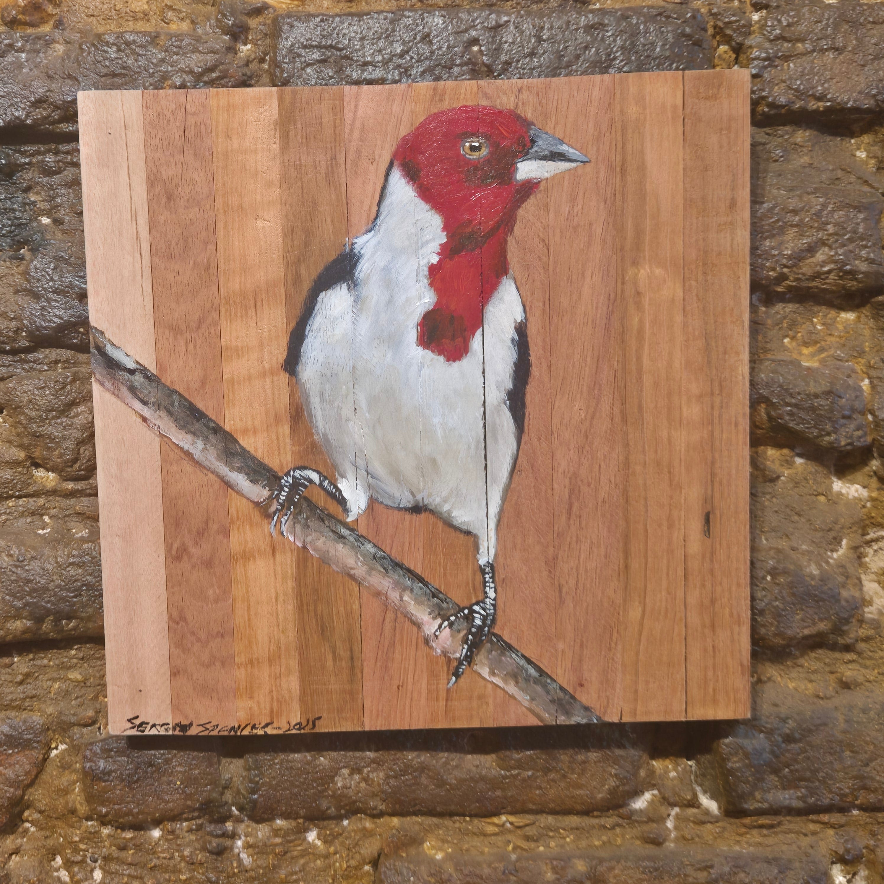 Quadro Decorativo Pássaro Galo de campina 30 X 30 cm