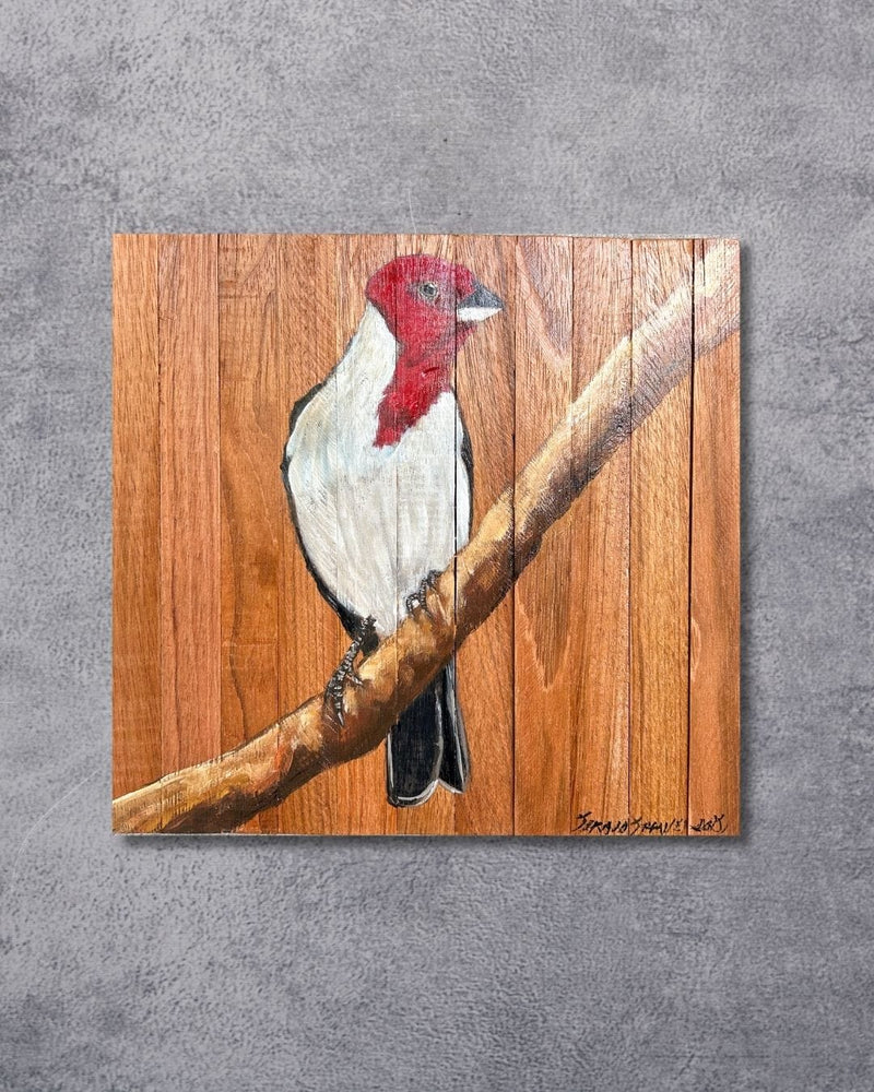 Quadro Decorativo Pássaro Galo de Campina 30 X 30 cm