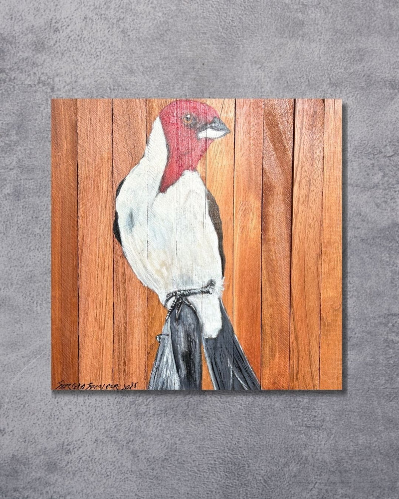 Quadro Decorativo Pássaro Galo de Campina 30 X 30 cm