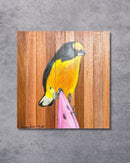 Quadro Decorativo Pássaro Guriatã Bananeira 30 X 30 cm