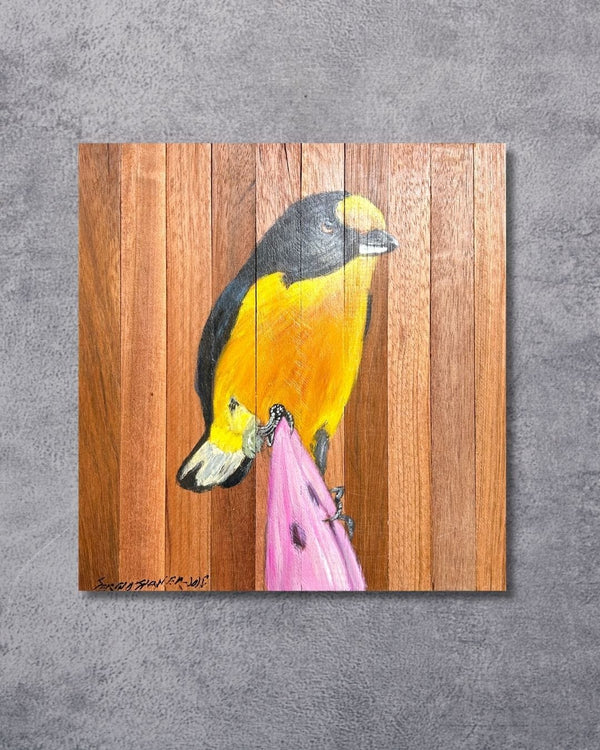 Quadro Decorativo Pássaro Guriatã Bananeira 30 X 30 cm