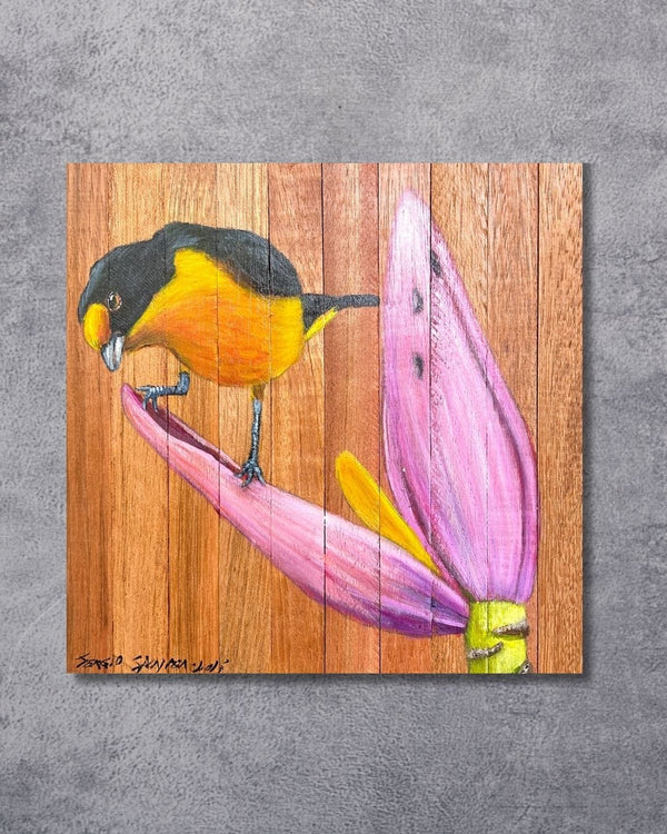 Quadro Decorativo Pássaro Guriatã Bananeira 30 X 30 cm