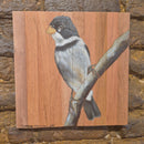 Quadro Decorativo Pássaro Patativa  30 X 30 cm