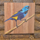 Quadro Decorativo Pássaro Pintor 30 X 30 cm