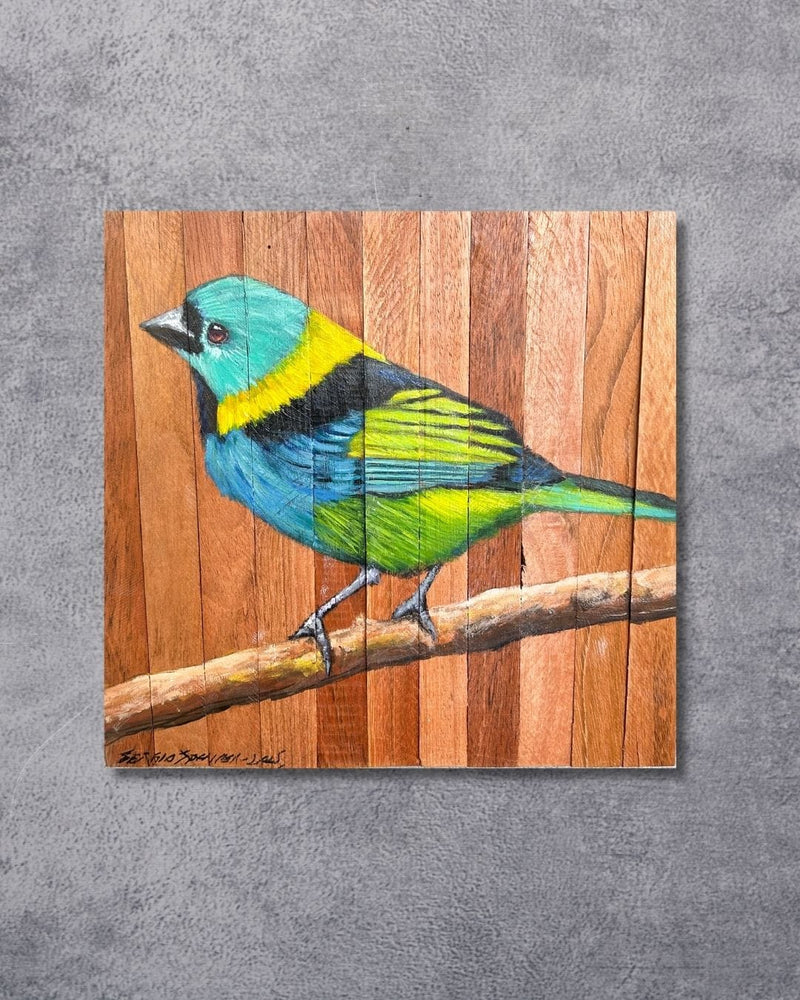 Quadro Decorativo Pássaro Saíra 7 Cores 30 X 30 cm