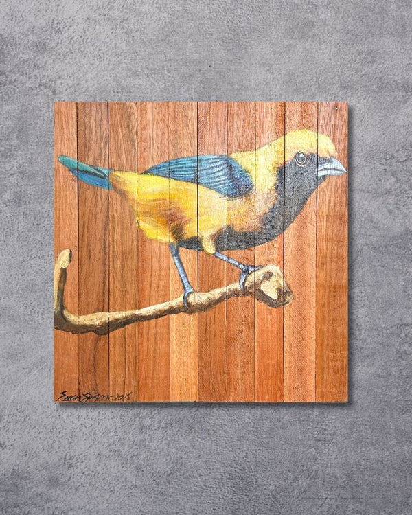 Quadro Decorativo Pássaro Saíra Amarela 30 X 30 cm