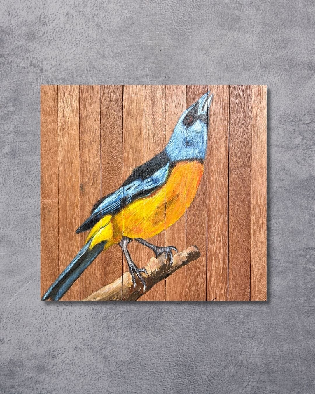 Quadro Decorativo Pássaro Sanhaço de Papo Laranja 30 X 30 cm
