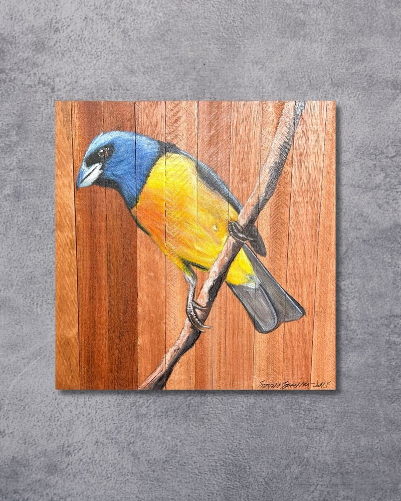 Quadro Decorativo Pássaro Sanhaço Papo Laranja 30 X 30 cm
