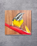 Quadro Decorativo Pássaro Sibite 30 X 30 cm