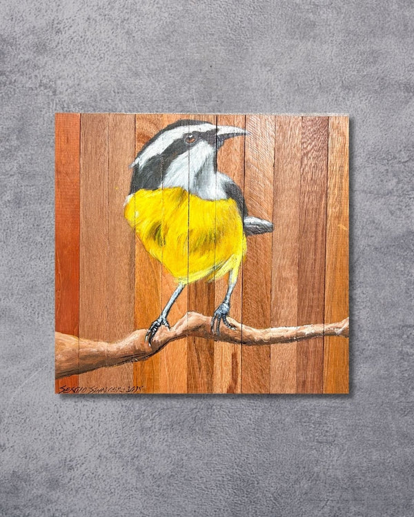 Quadro Decorativo Pássaro Sibite 30 X 30 cm