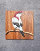 Quadro Decorativo Pássaro Soldadinho do Araripe 30 X 30 cm
