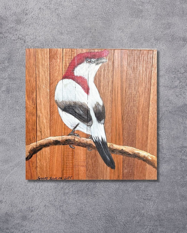 Quadro Decorativo Pássaro Soldadinho do Araripe 30 X 30 cm