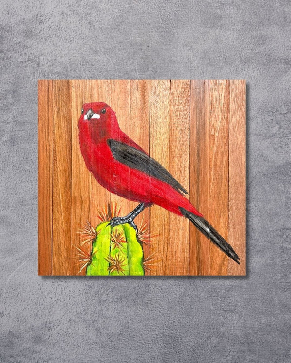 Quadro Decorativo Pássaro TIê-Sangue 30 X 30 cm