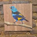 Quadro Decorativo Pintor 30 X 30 cm