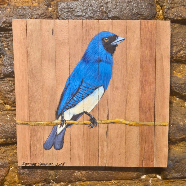Quadro Decorativo Saí andorinha 30 X 30 cm