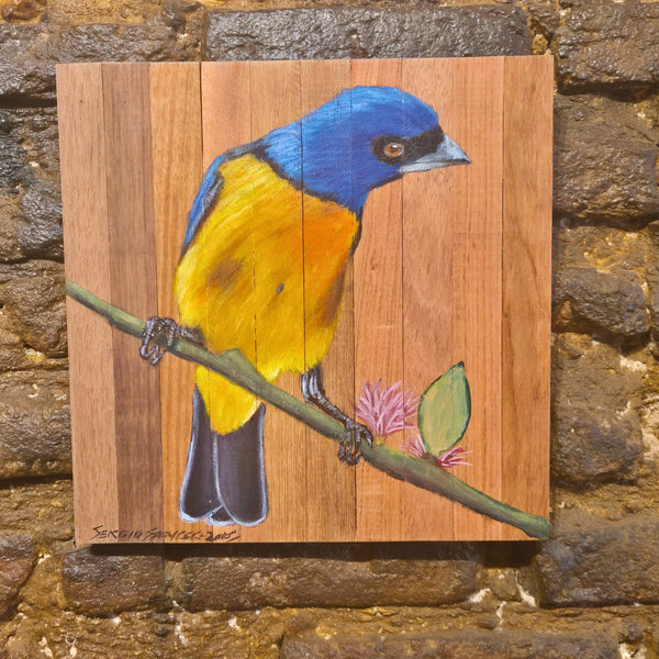 Quadro Decorativo Sanhaço papo laranja 30 X 30 cm