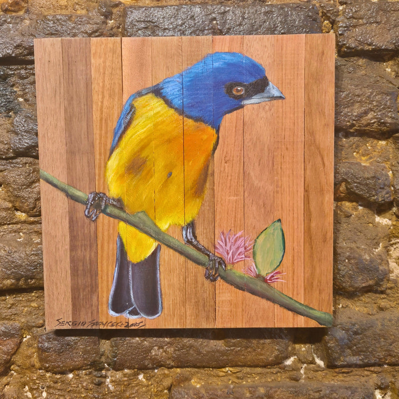 Quadro Decorativo Sanhaço papo laranja 30 X 30 cm