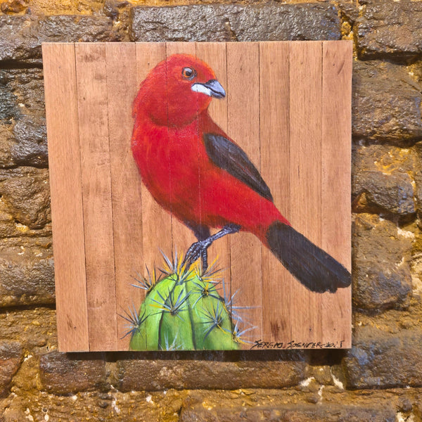 Quadro Decorativo Tiê sangue X 30 cm
