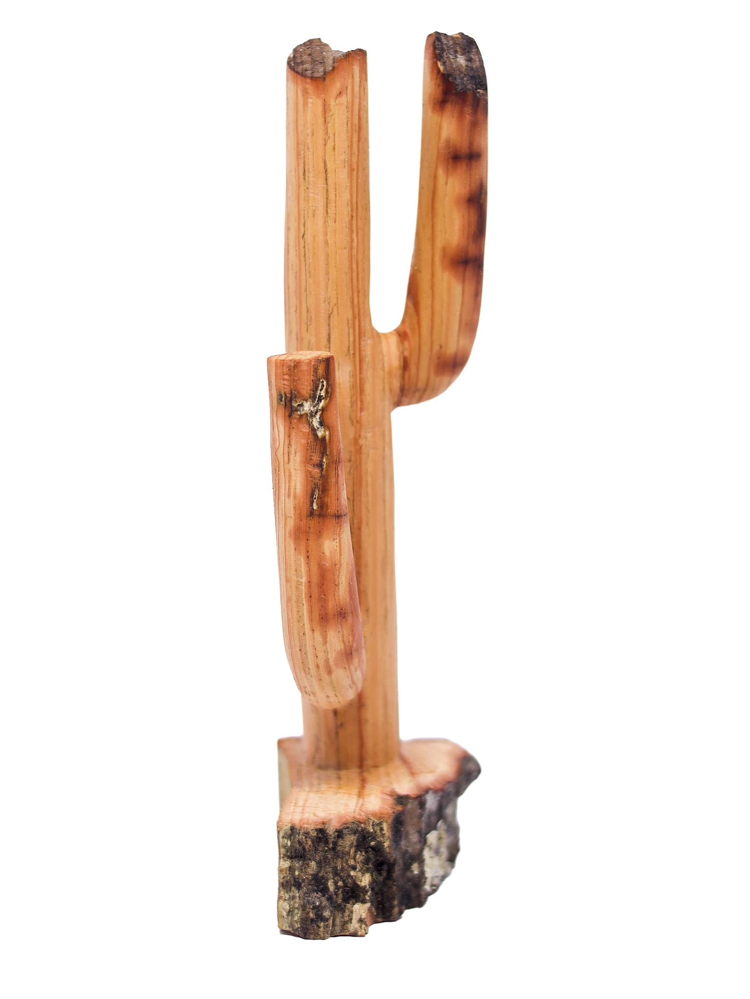 Escultura Cacto Talhado na Madeira CMS P