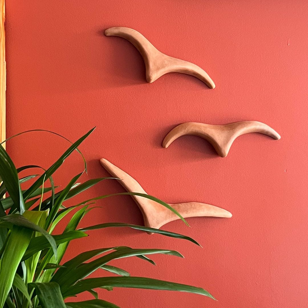 Kit de Gaivotas de Parede Naturais