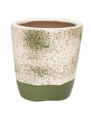 Moringa em Barro Creme