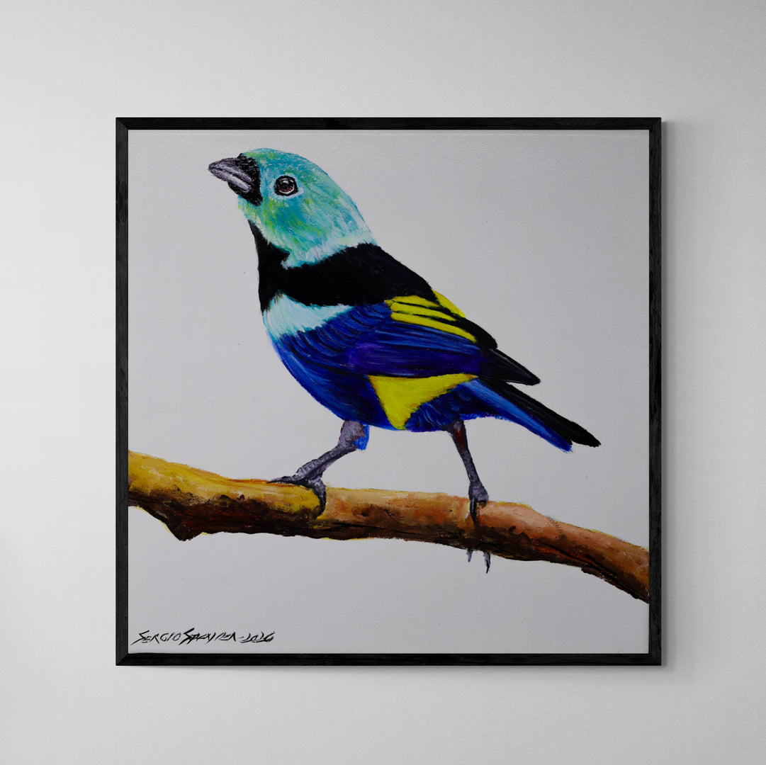 Quadro C/ Moldura Pássaro Pintor Verdadeiro 32 X 32 cm