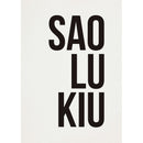 Pôster Decorativo SAOLUKIU
