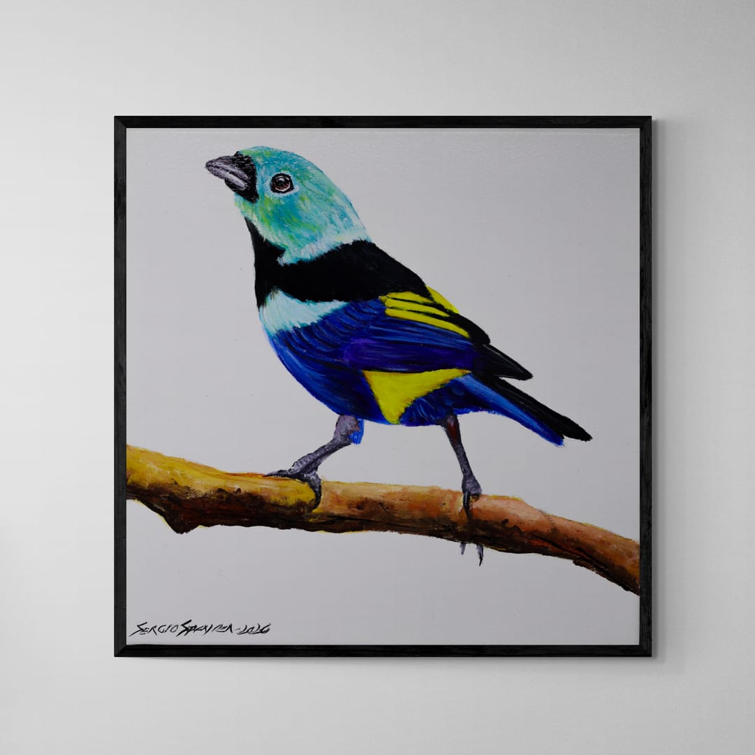 Quadro C/ Moldura Pássaro Pintor Verdadeiro 32 X 32 cm