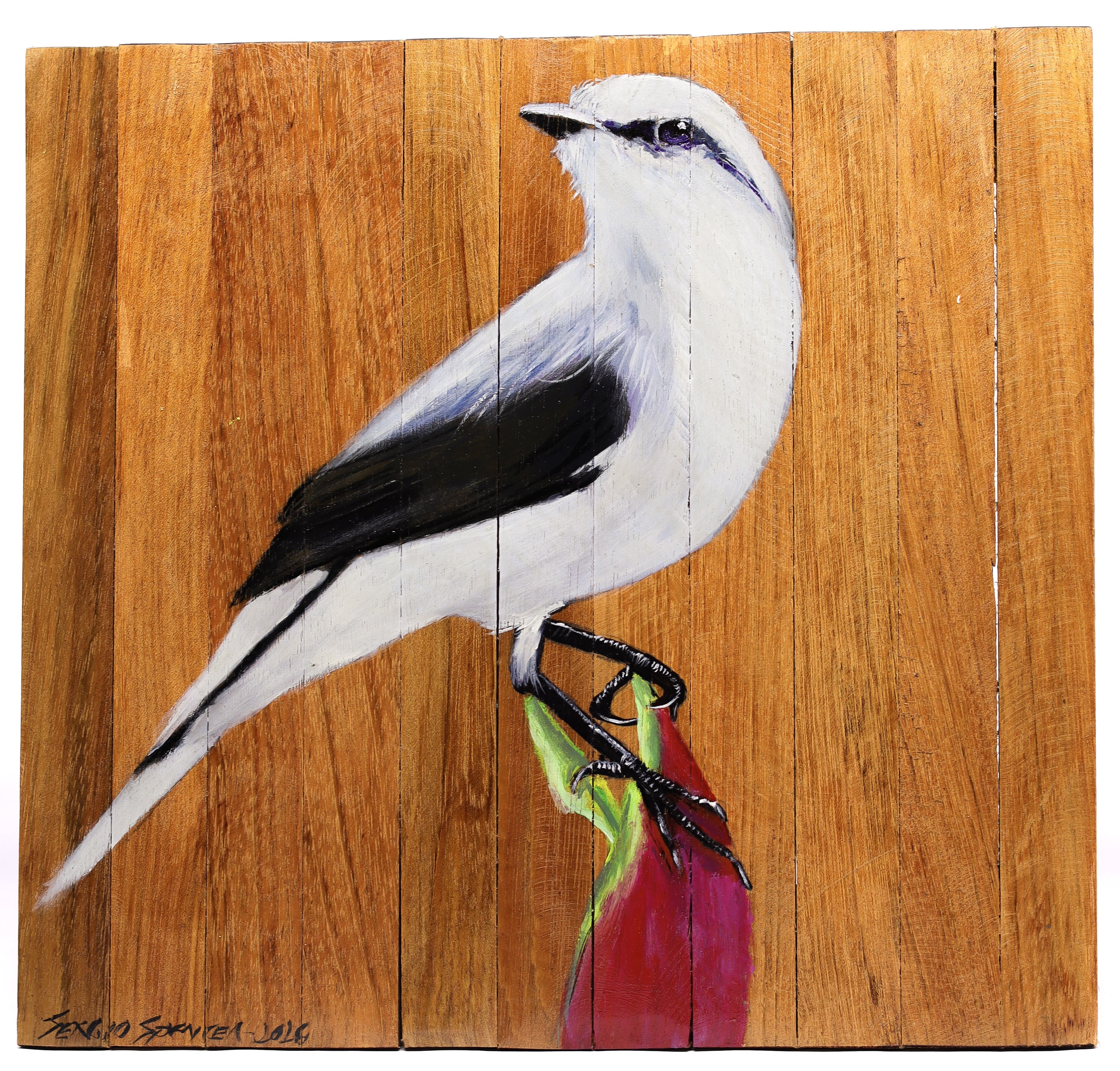 Quadro Decorativo Pássaro Andorinha Mascarada 30 X 30 cm