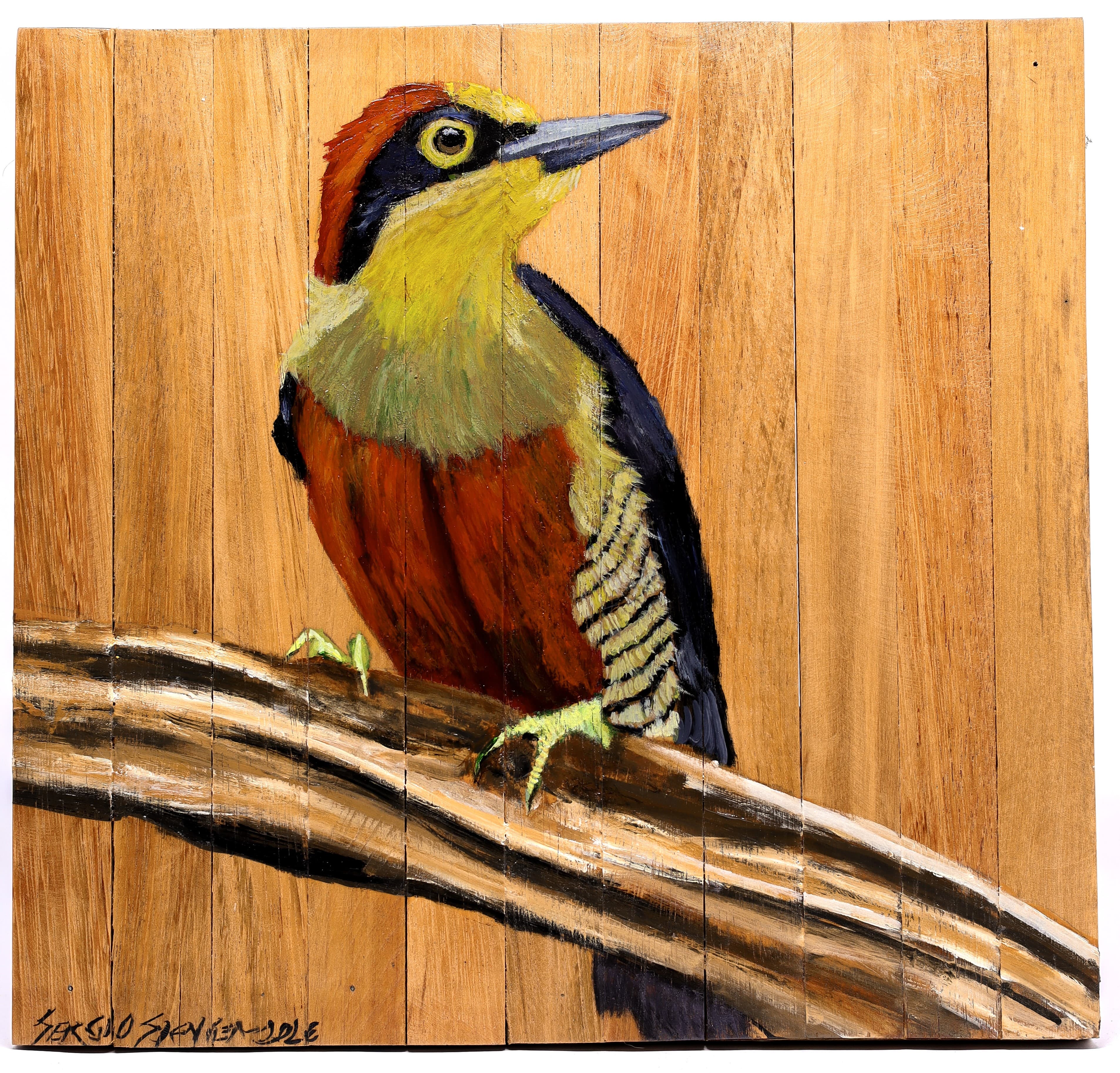 Quadro Decorativo Pássaro Benedito de Testa Amarela 30 X 30 cm