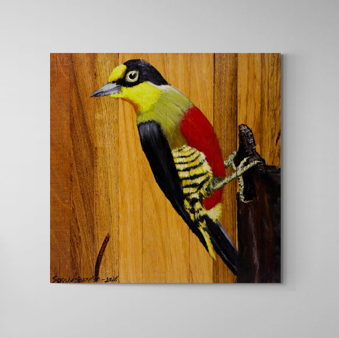 Quadro Decorativo Pássaro Benedito de Testa Amarela 30 X 30 cm