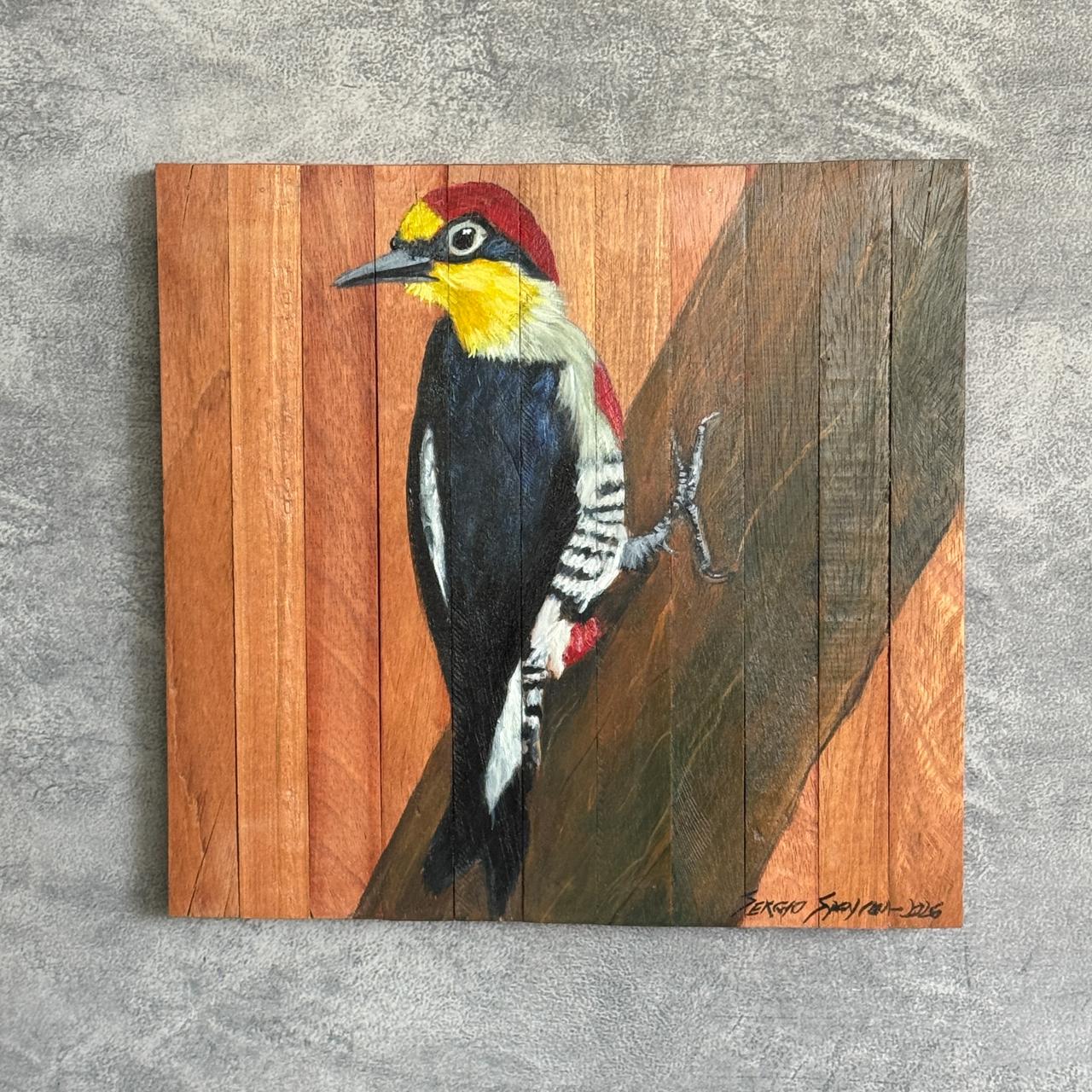 Quadro Decorativo Pássaro Benedito Testa Amarela 2 30 X 30 cm