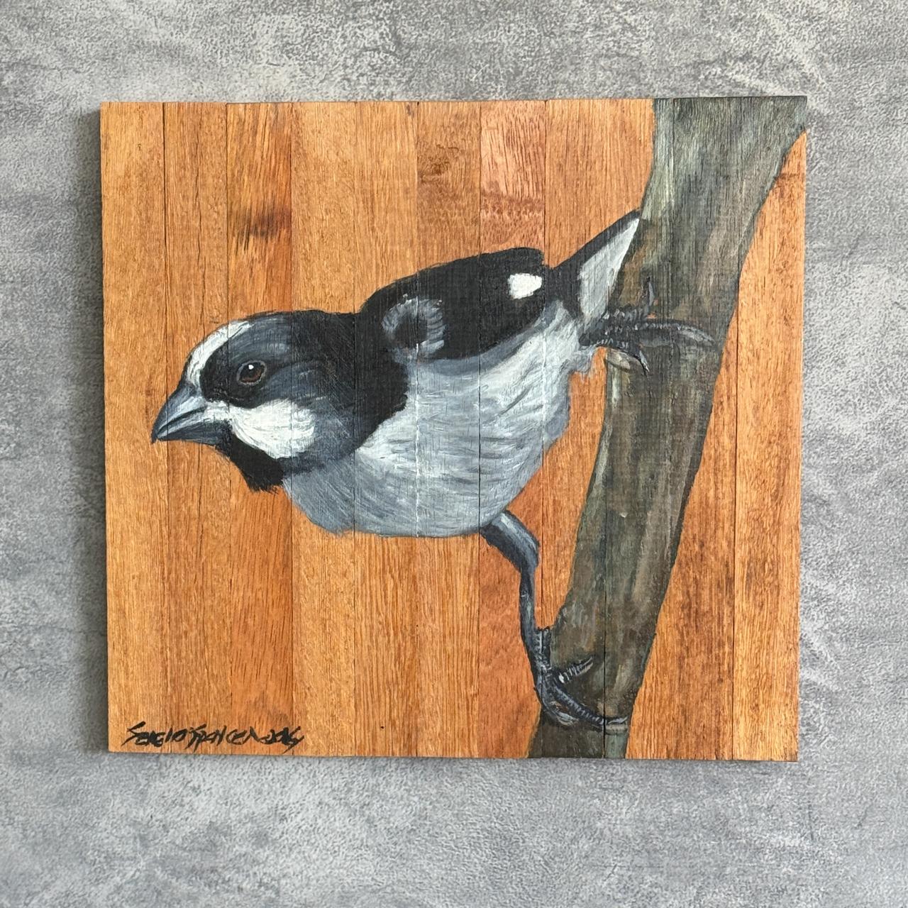 Quadro Decorativo Pássaro Bigodinho 30 X 30 cm