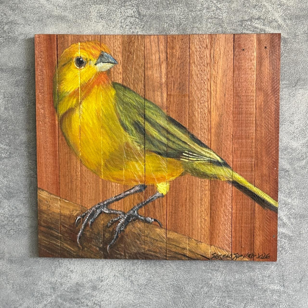 Quadro Decorativo Pássaro Canário da Terra 2 30 X 30 cm