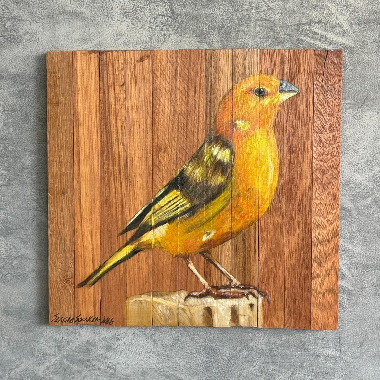 Quadro Decorativo Pássaro Canário da Terra 3 30 X 30 cm