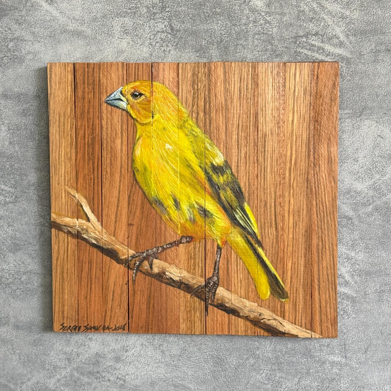 Quadro Decorativo Pássaro Canário da Terra 4 30 X 30 cm