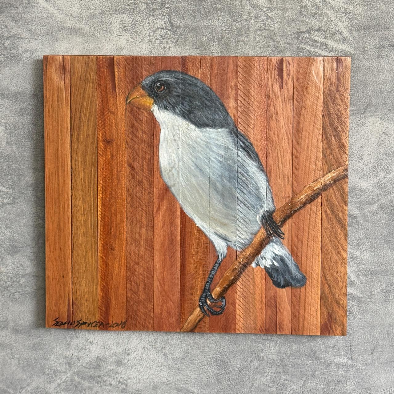 Quadro Decorativo Pássaro Chorão 1 30 X 30 cm