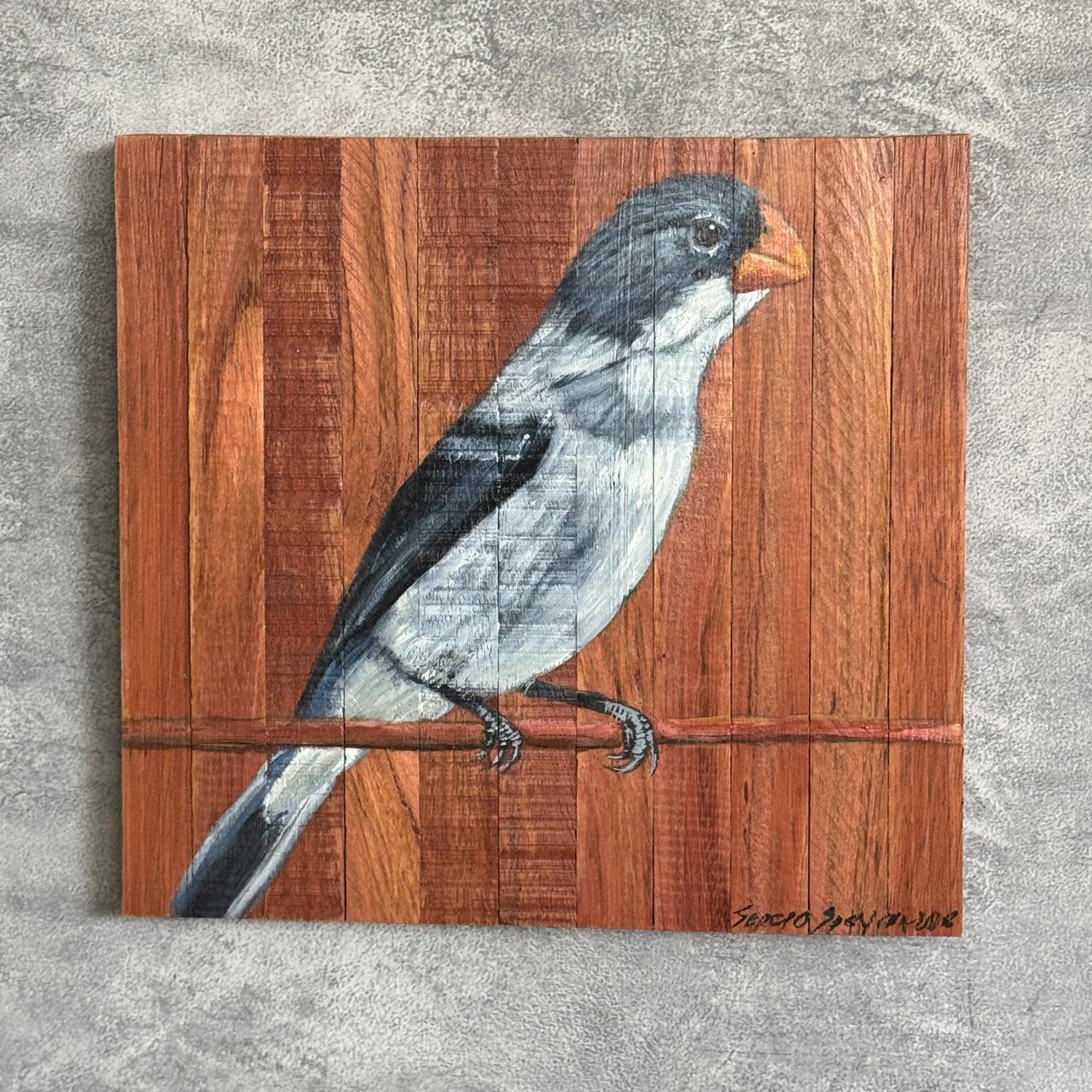 Quadro Decorativo Pássaro Chorão 2 30 X 30 cm