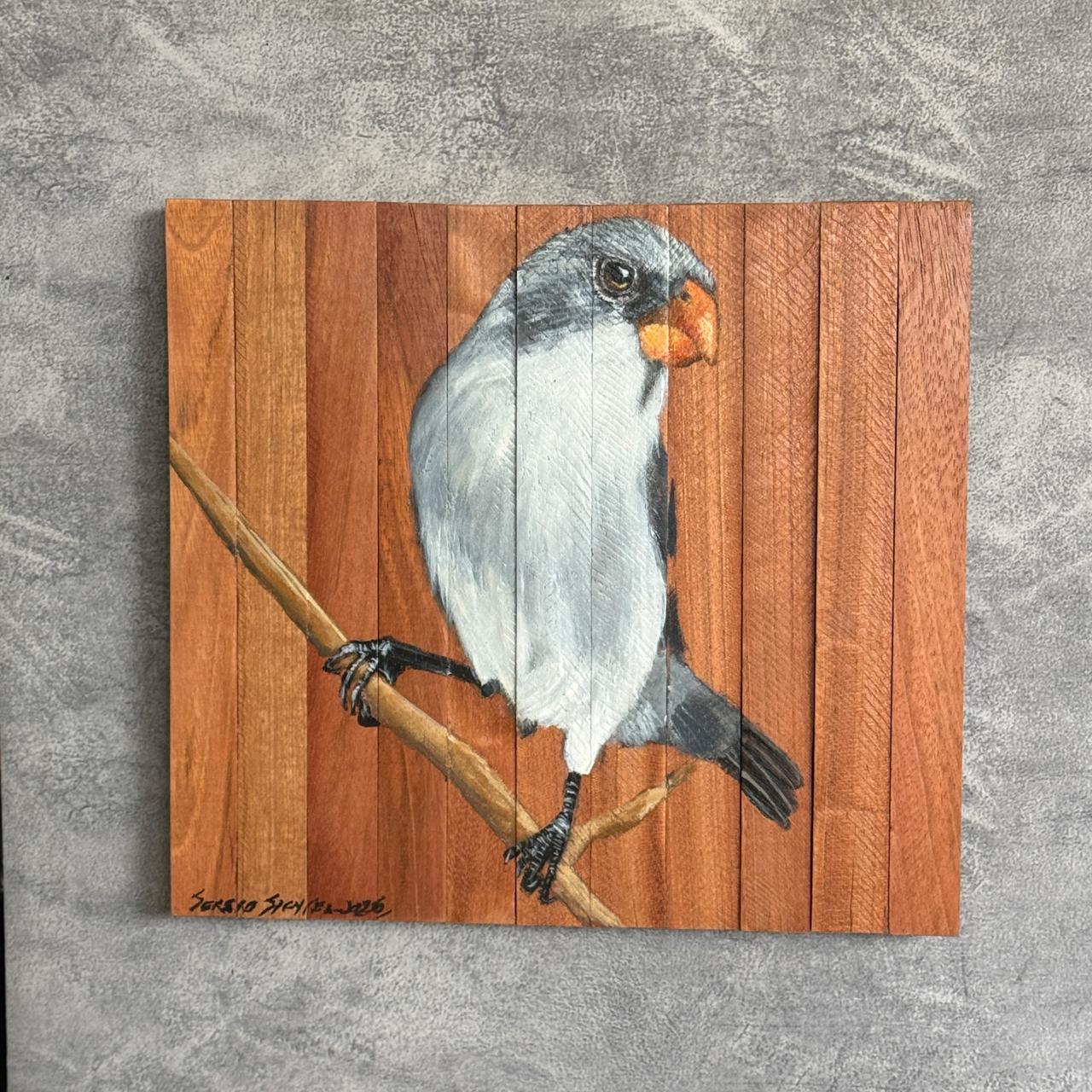 Quadro Decorativo Pássaro Chorão 3 30 X 30 cm