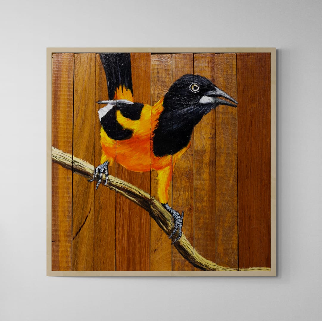 Quadro Decorativo Pássaro Corrupião 01 30 X 30 cm