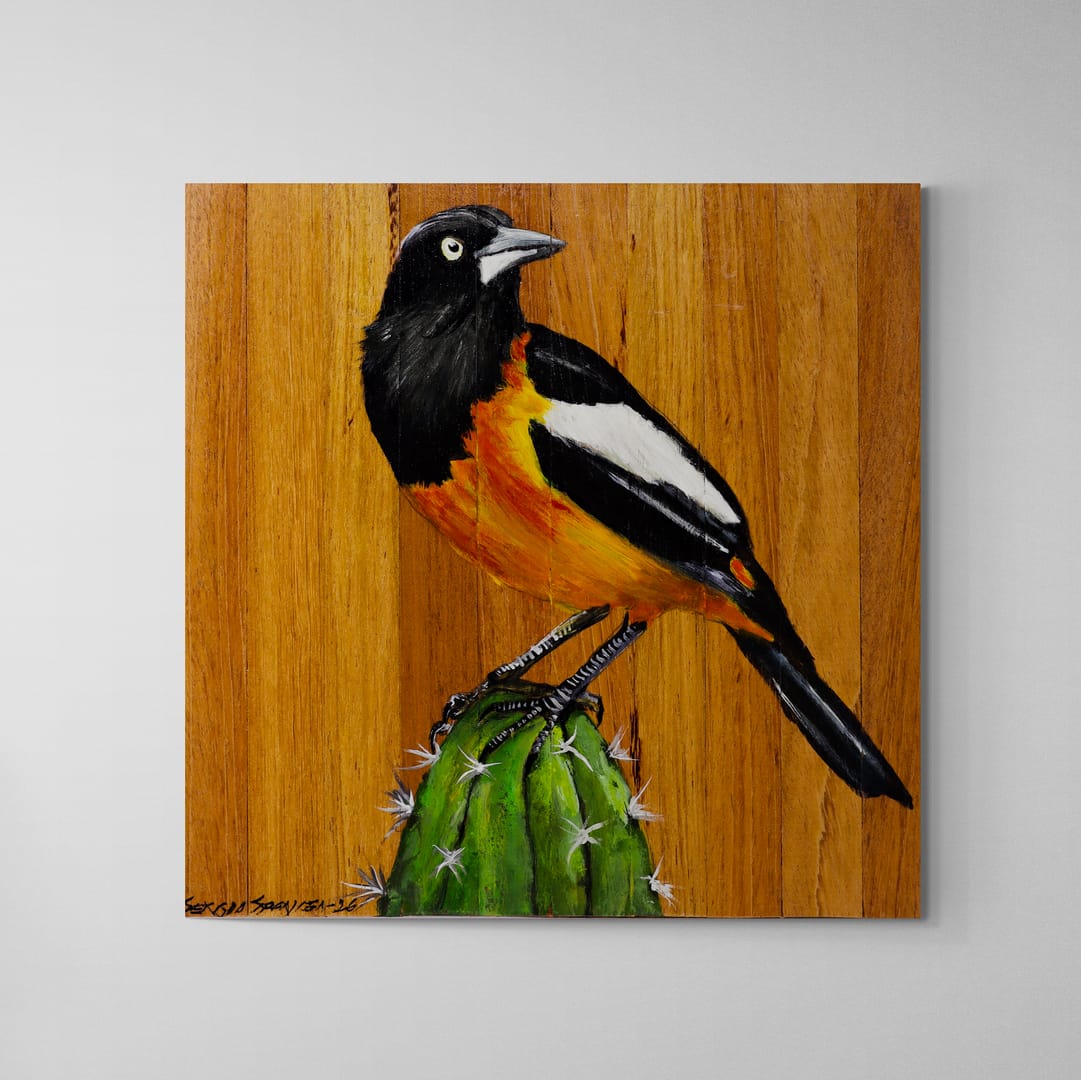 Quadro Decorativo Pássaro Corrupião 02 30 X 30 cm