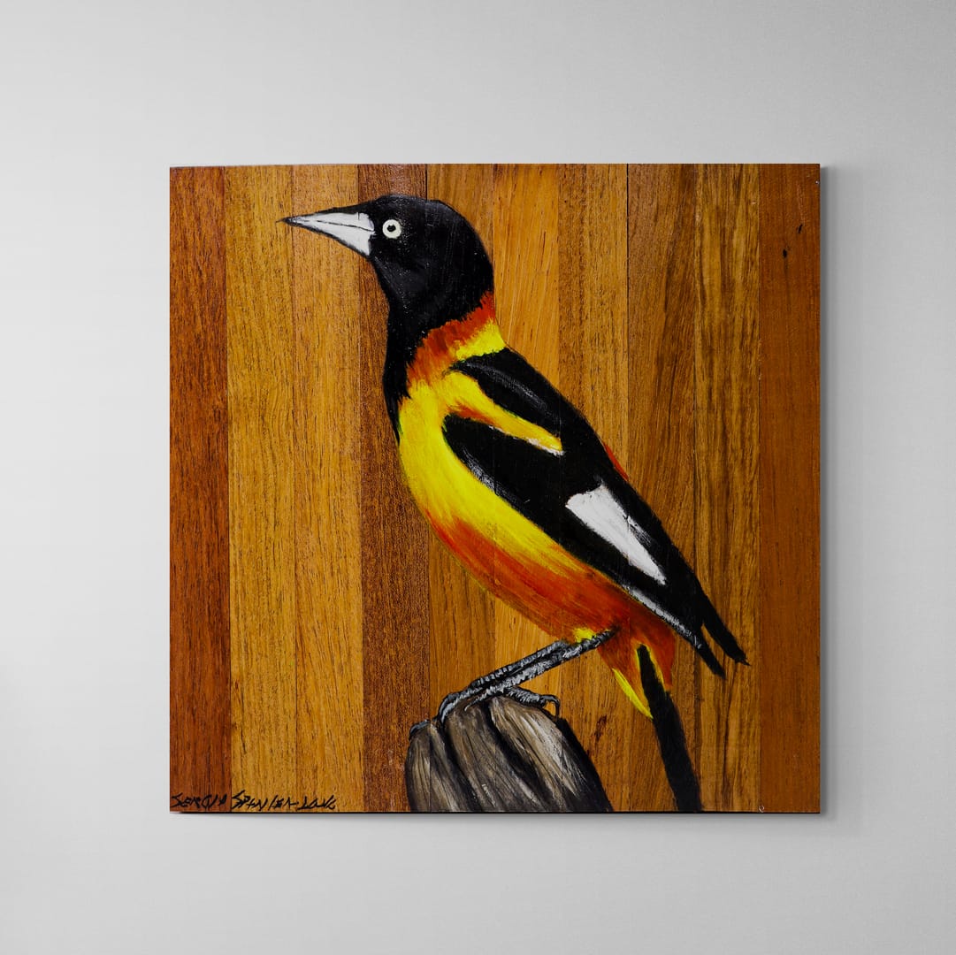 Quadro Decorativo Pássaro Corrupião 03 30 X 30 cm