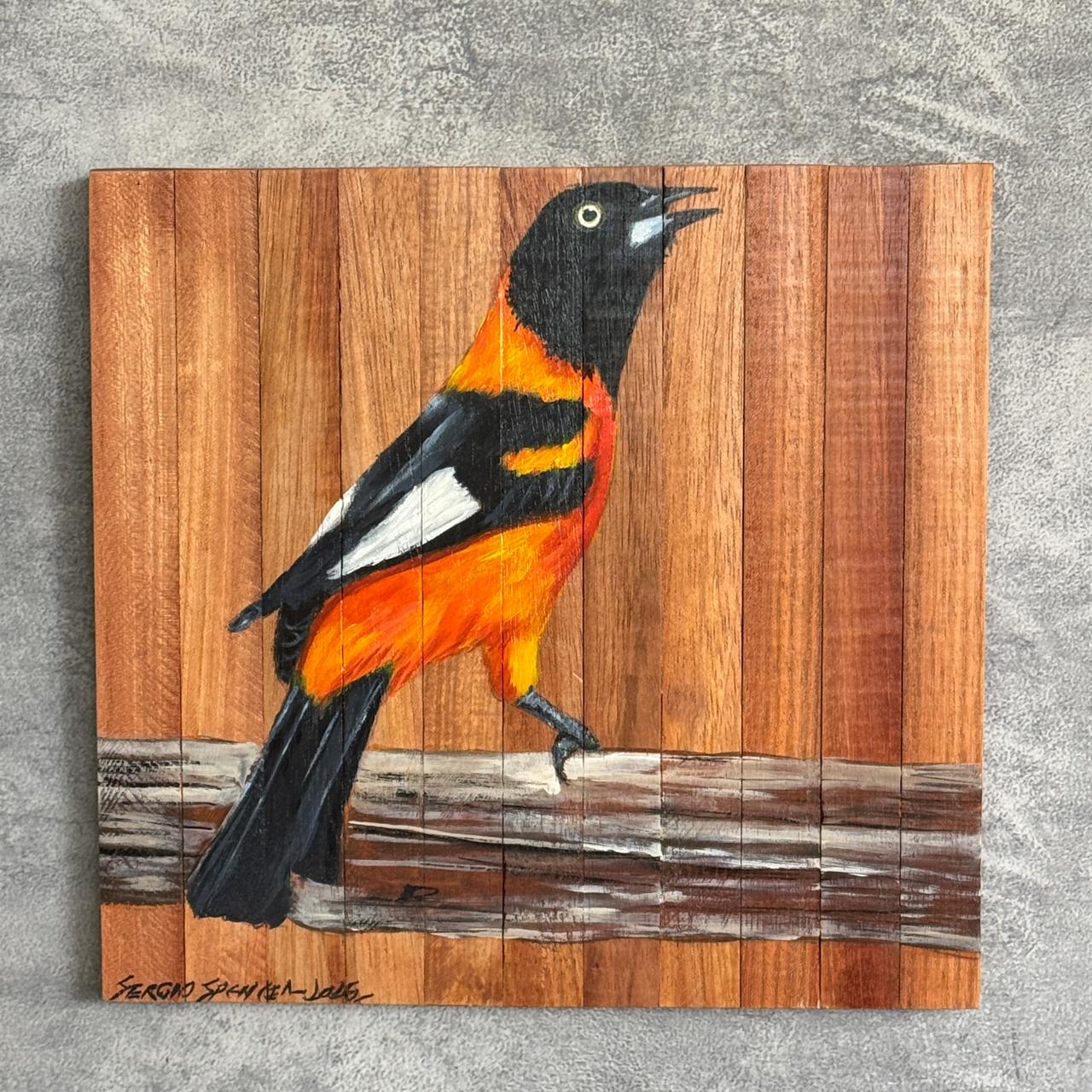 Quadro Decorativo Pássaro Corrupião 1 30 X 30 cm