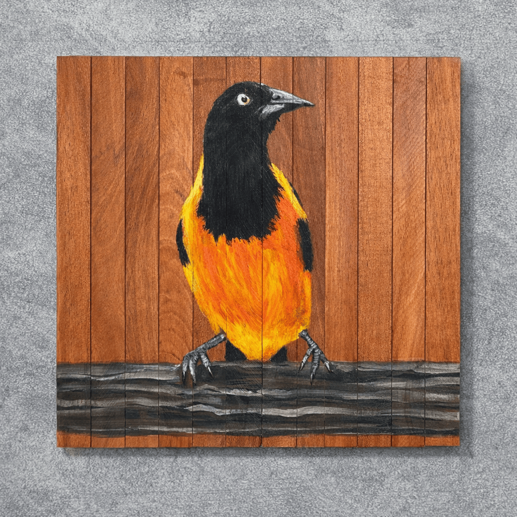 Quadro Decorativo Pássaro Corrupião 2 30 X 30 cm