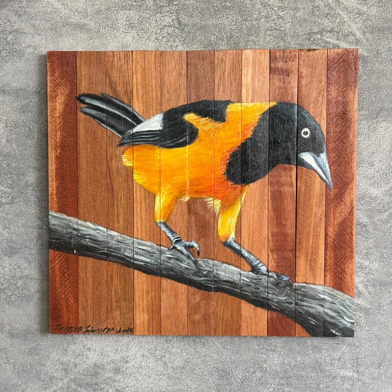 Quadro Decorativo Pássaro Corrupião 3 30 X 30 cm