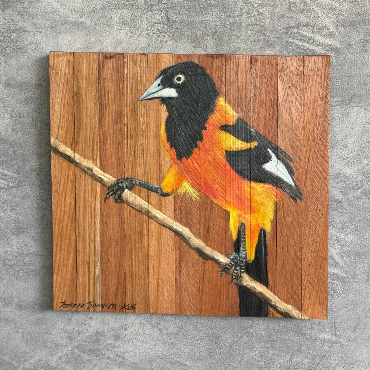 Quadro Decorativo Pássaro Corrupião 4 30 X 30 cm